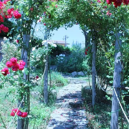 Hotel Zacco Marliana