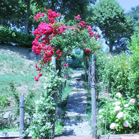 Hotel Zacco Marliana