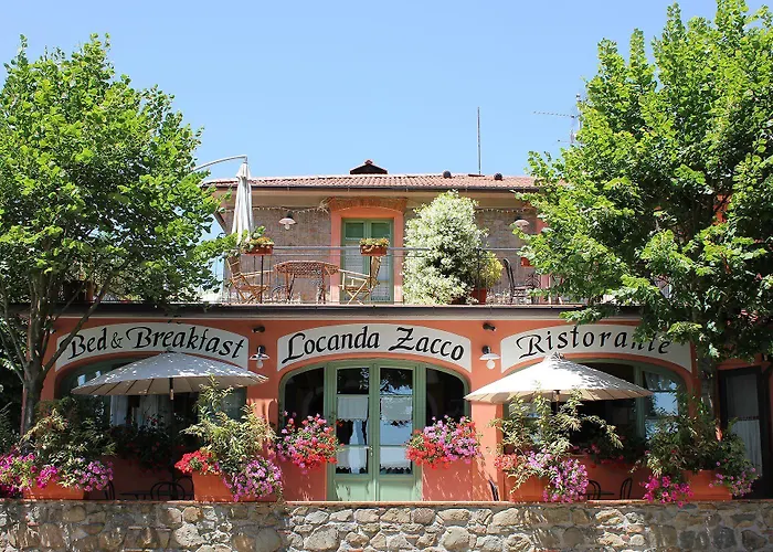 Zacco Marliana