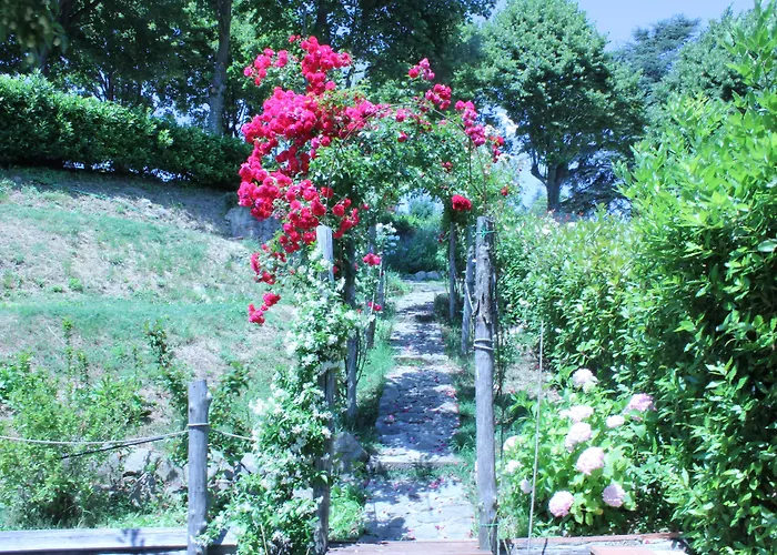 Hotel Zacco Marliana